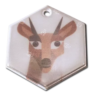 heijastin omalla painatuksella