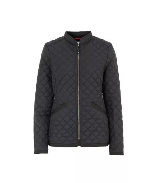 Dad Glenroy Lady Musta