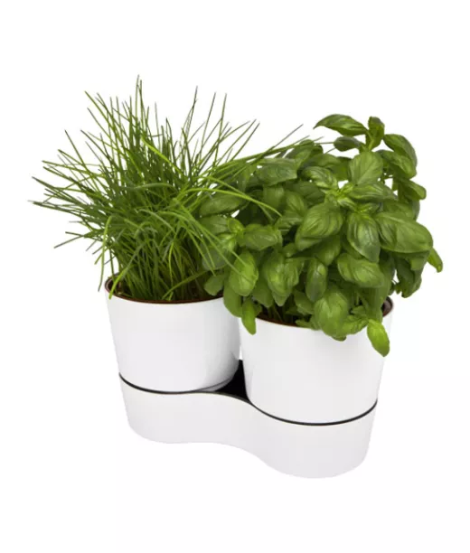 Mepal Herbs -tuplaruukku Keittiöön Valkoinen