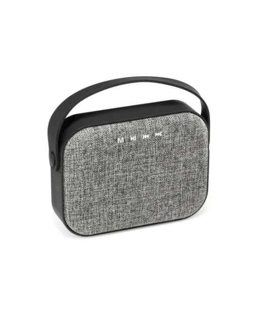 Teds. Kannettava Abs-kaiutin Mikrofonilla Harmaa