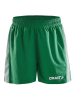 Craft Pro Control Mesh Shorts Jr